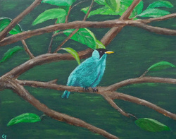 Painting: Green Honeycreeper